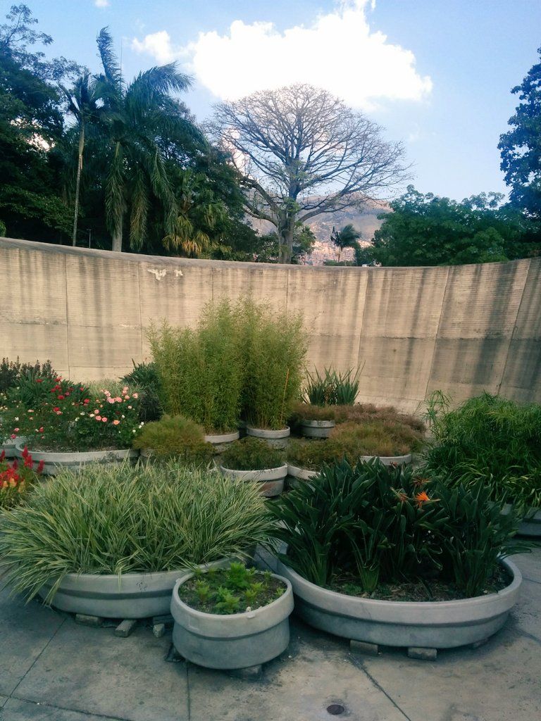 oh my god twitter doesn’t include alt text from images in their API