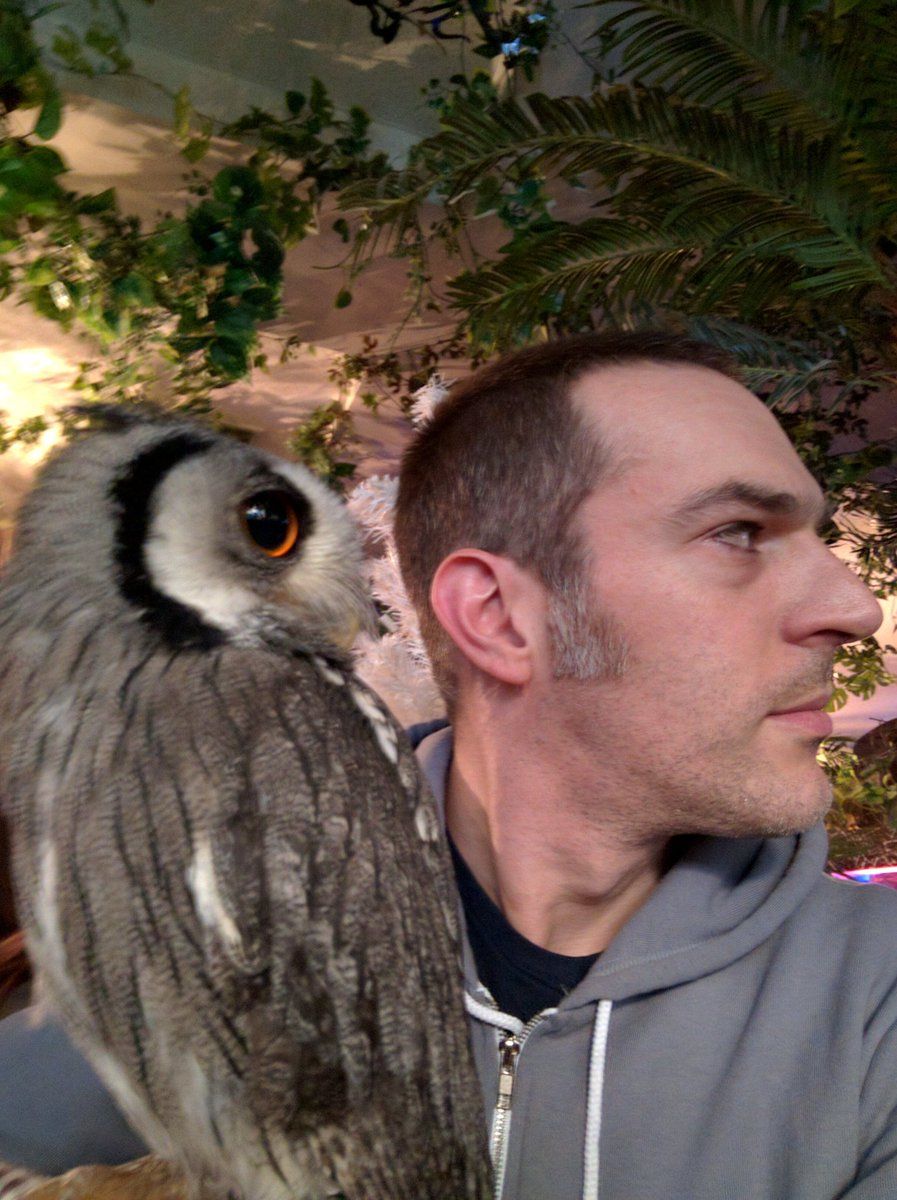 oh my god twitter doesn’t include alt text from images in their API