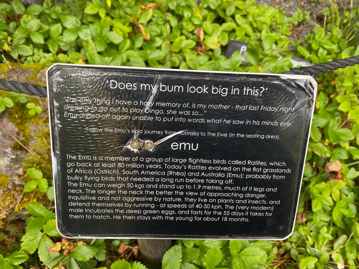 oh my god twitter doesn’t include alt text from images in their API