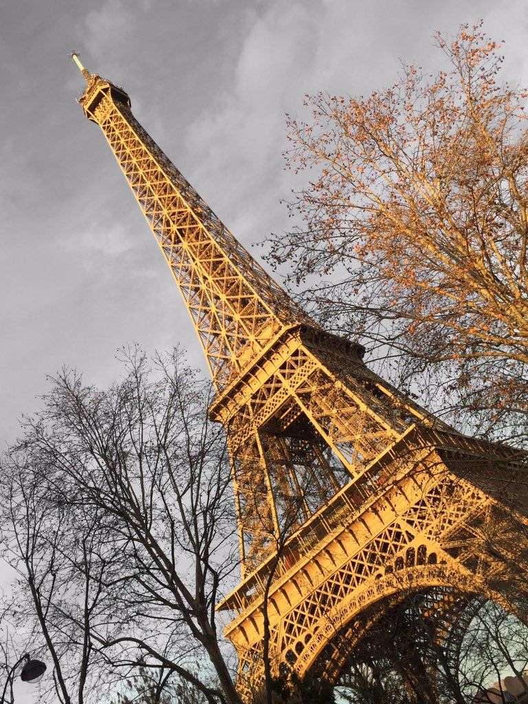 oh my god twitter doesn’t include alt text from images in their API