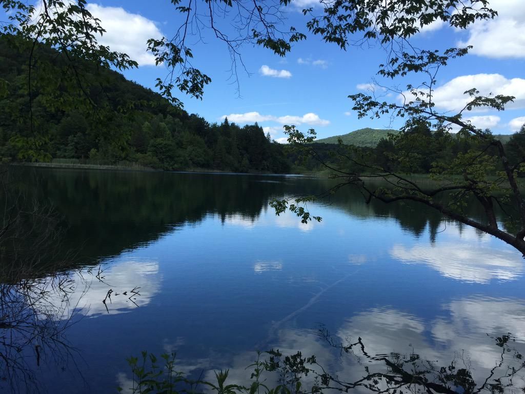 oh my god twitter doesn’t include alt text from images in their API