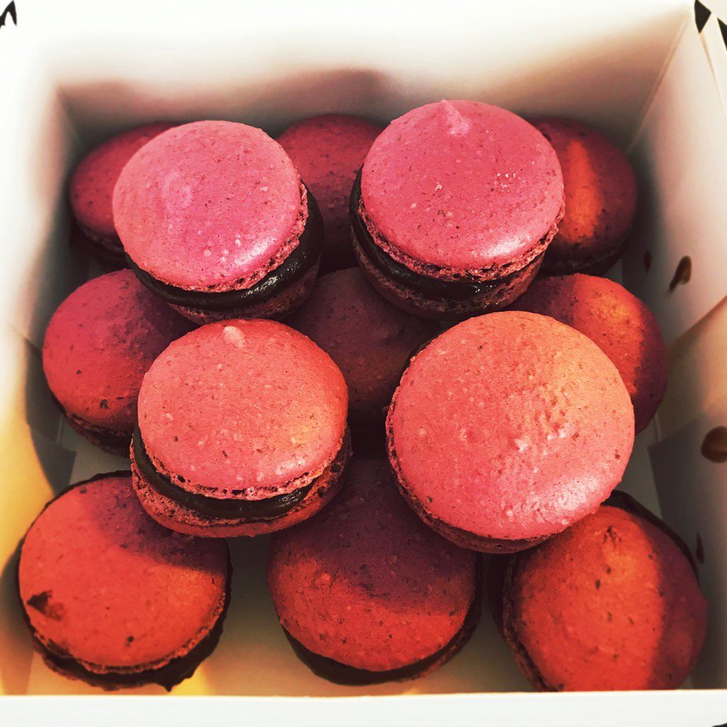 oh my god twitter doesn’t include alt text from images in their API