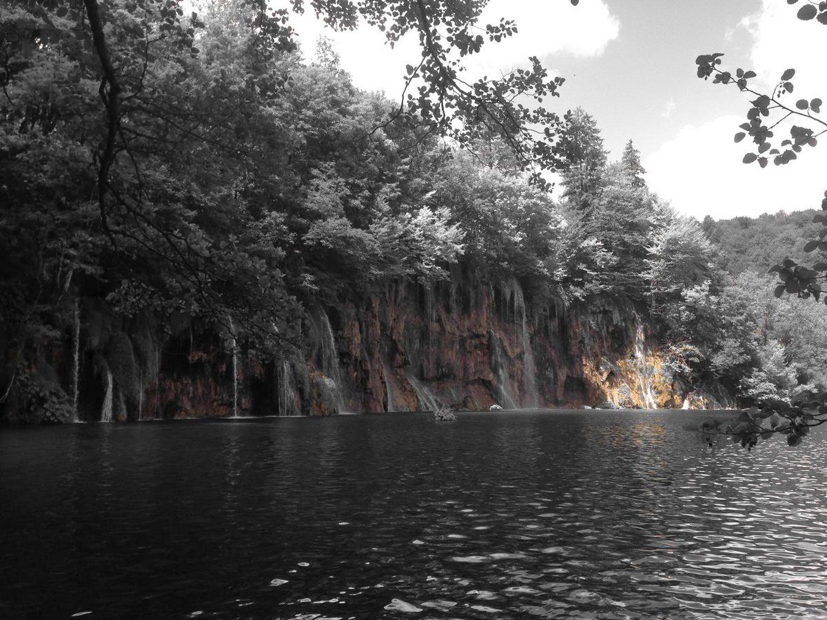 oh my god twitter doesn’t include alt text from images in their API