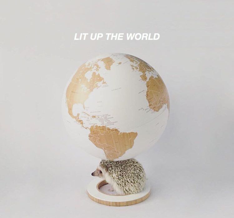 oh my god twitter doesn’t include alt text from images in their API