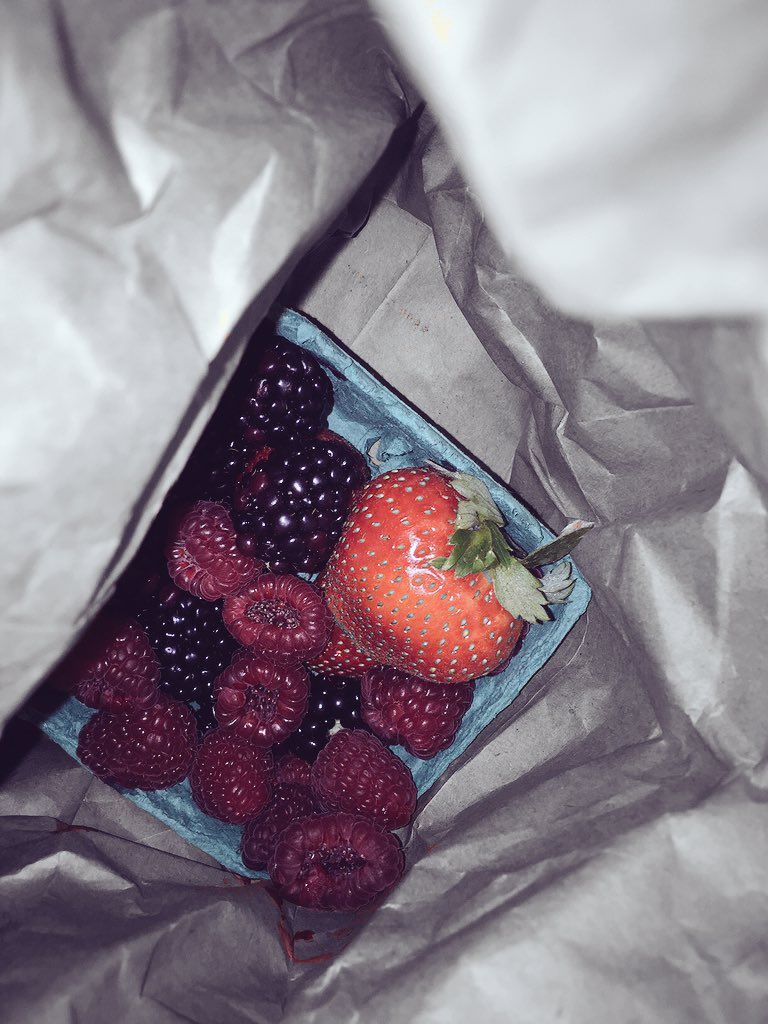 oh my god twitter doesn’t include alt text from images in their API