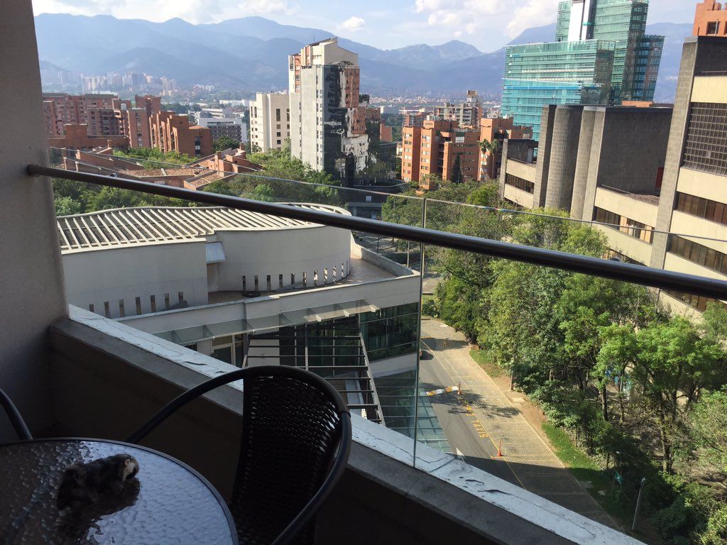 oh my god twitter doesn’t include alt text from images in their API