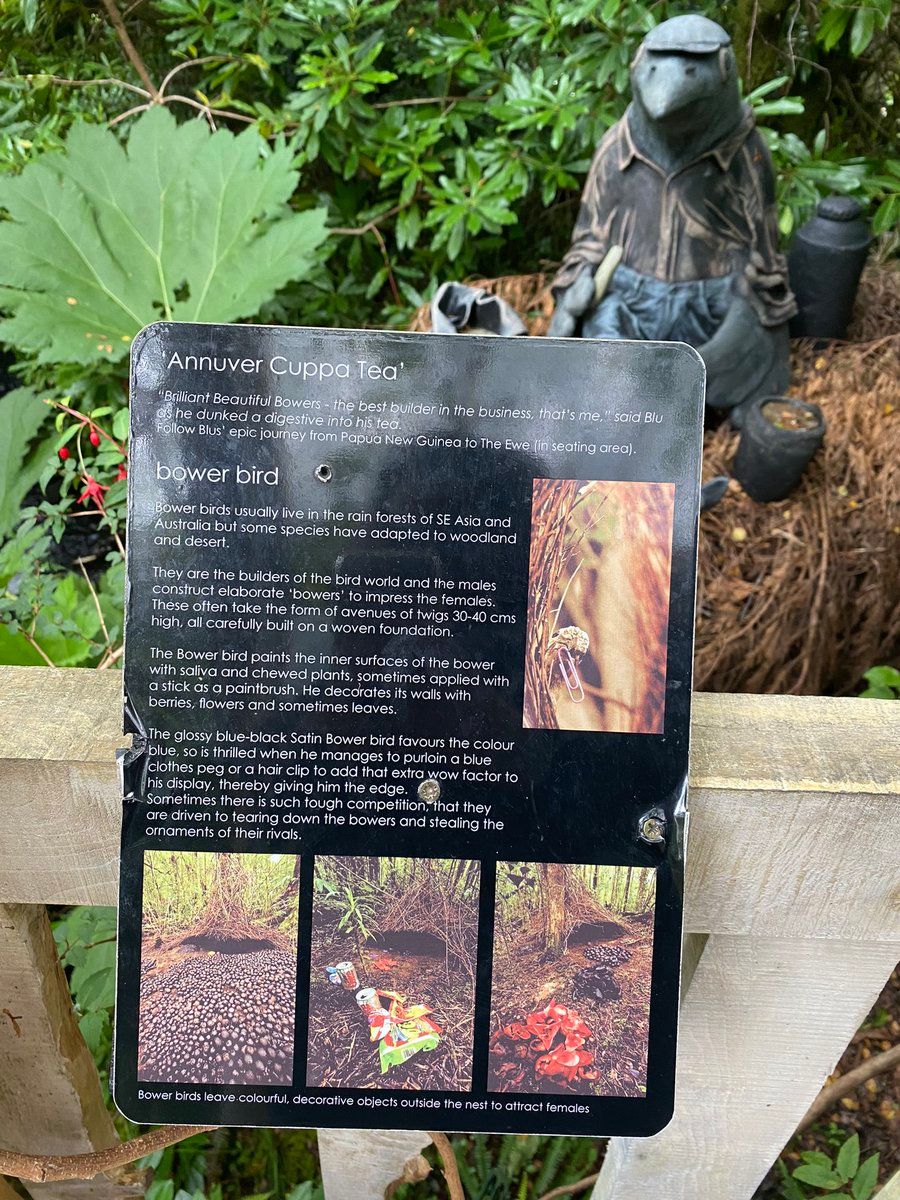 oh my god twitter doesn’t include alt text from images in their API